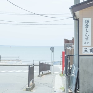 Mc军岭 -刀山火海